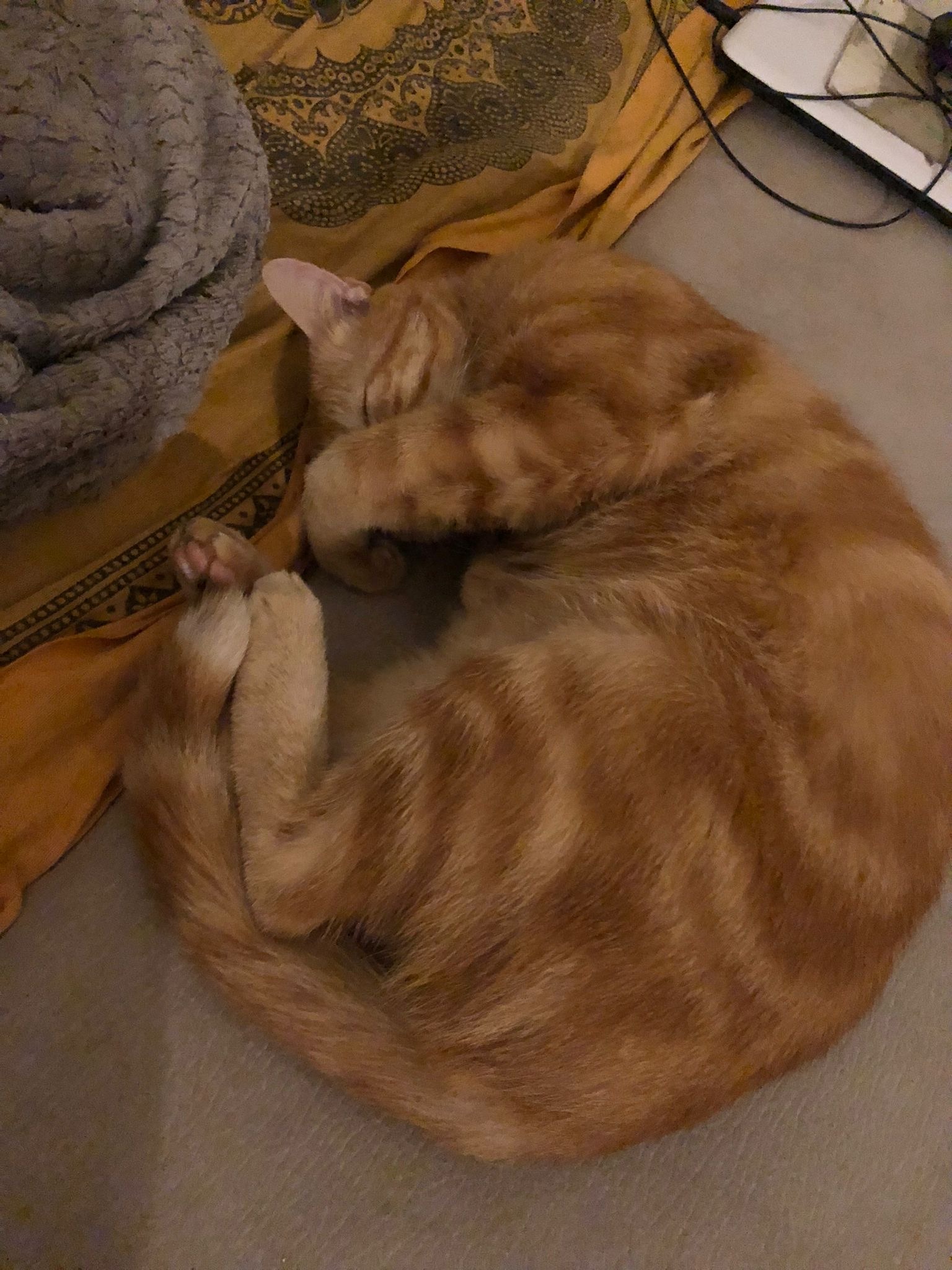 Souheyl - Kasterlee - Anvers | Annonce Sex