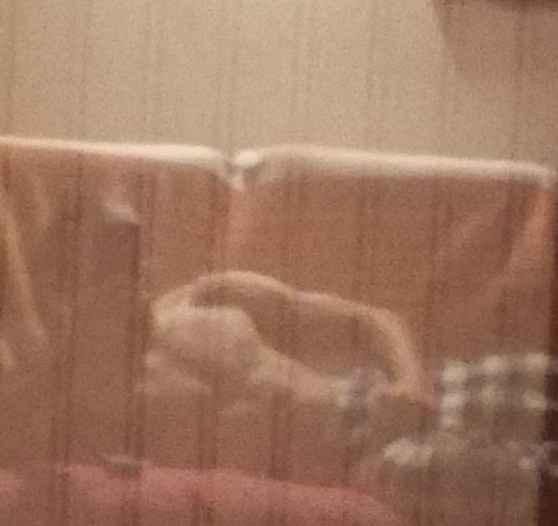 Kemi - Ciney - Namur | Annonce Sex