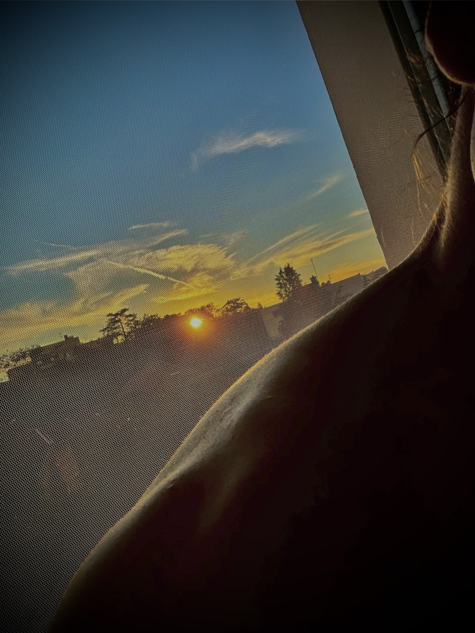 Cameron - Merelbeke-Melle - Flandre orientale | Annonce Sex