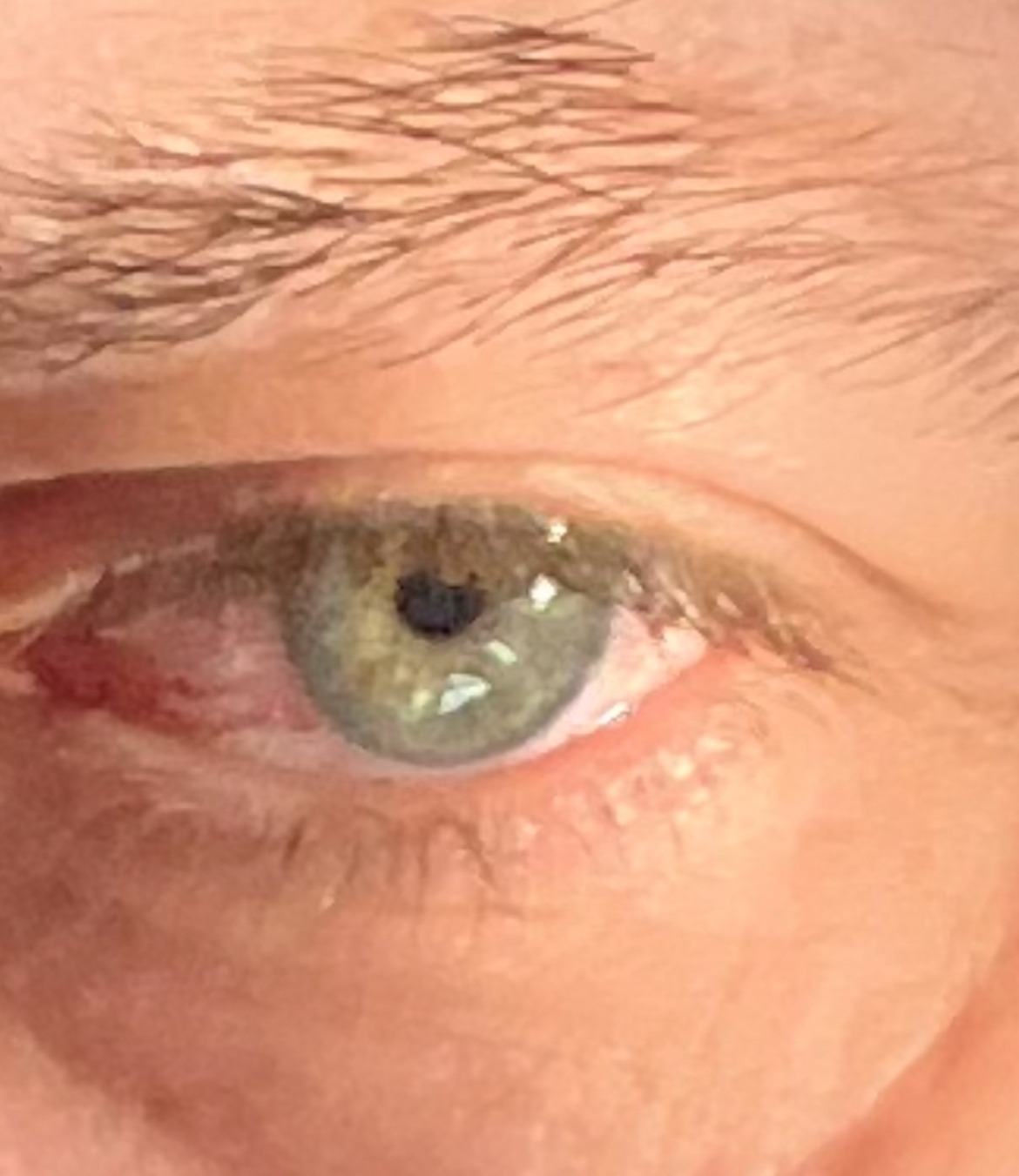 Gaston - Horebeke - Flandre orientale | Annonce Sex